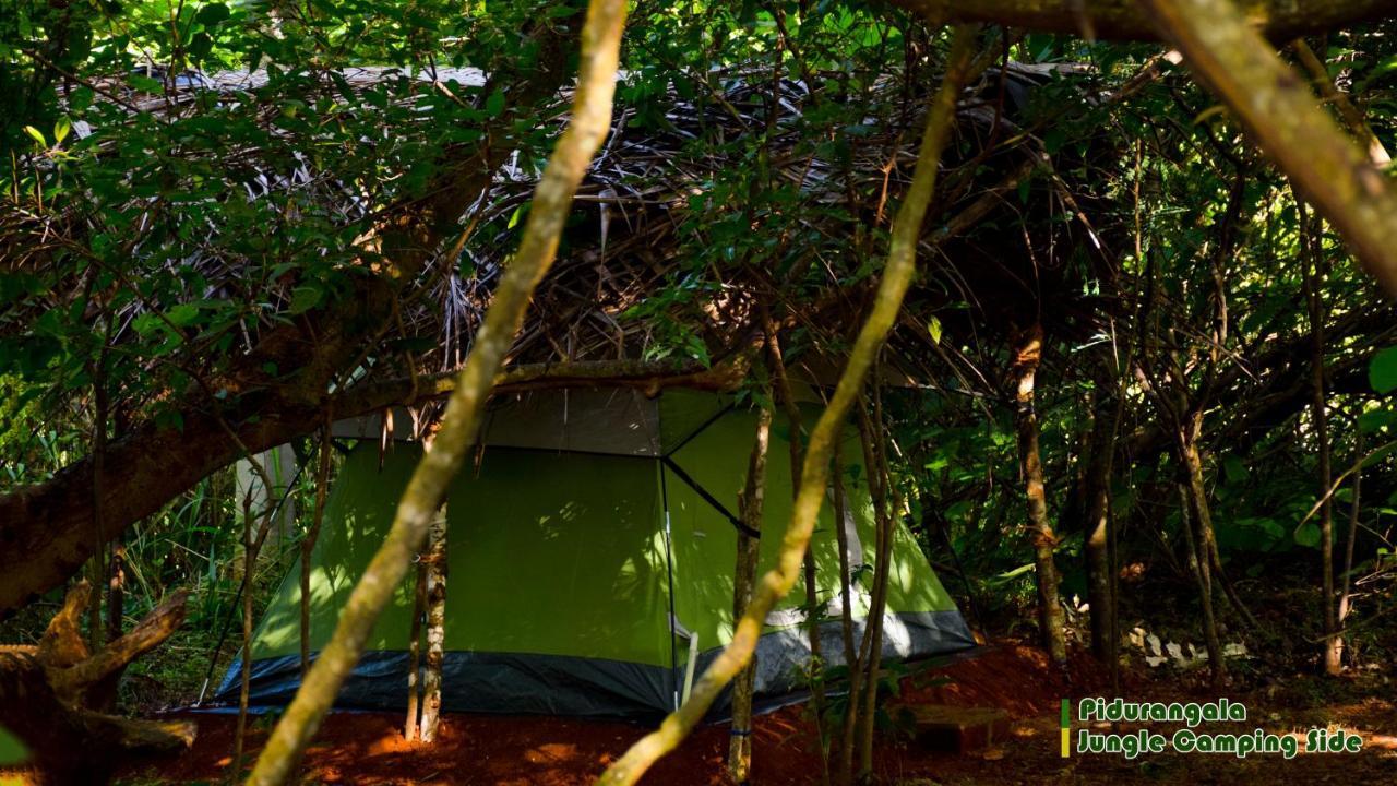 Sigiri Jungle Camping Hotel Sigiriya Exterior photo